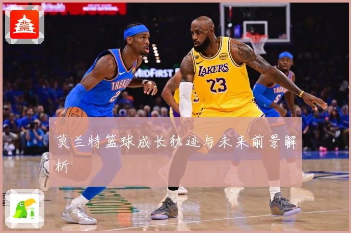 莫兰特篮球成长轨迹与未来前景解析