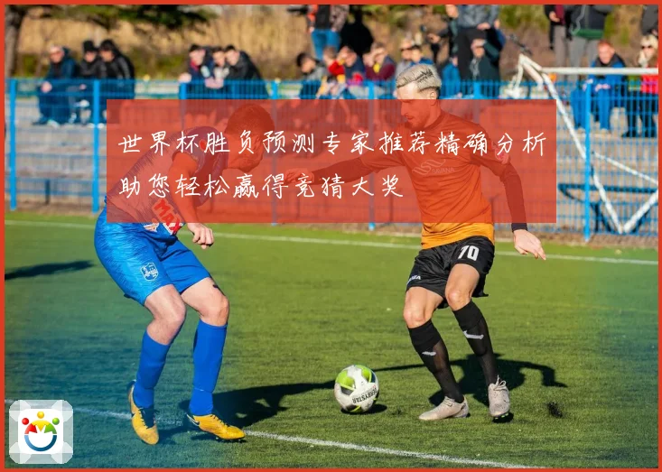 世界杯胜负预测专家推荐精确分析助您轻松赢得竞猜大奖