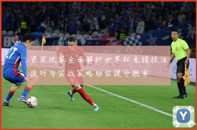 资深玩家全面解析世界杯竞猜投注技巧与实战策略助你提升胜率